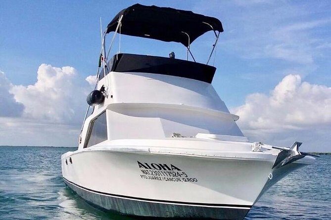 Private fishing charter Bertram 31ft 6 pax max if you don't fish you don't pay - The Crew, the Lines, and How the Day Feels on a Small Boat