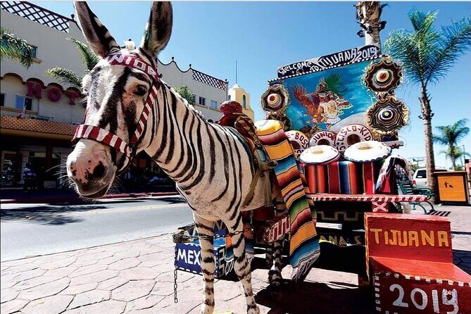 Private Full-Day Guided Tour of Tijuana - El Popo Market tastings and the mezcal option at Ruta del Borracho
