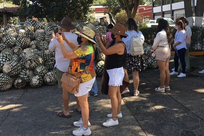 Private Full-Day Tour to Tequila Pueblo Magico - Ride Comfort and Timing: what a private vehicle really buys you