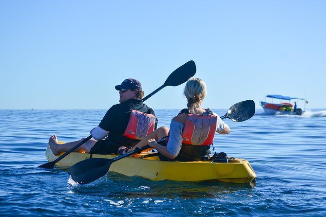 Private Glass bottom Kayak and snorkel at two Bays - Glass-Bottom Kayaks: The Best Way to See Fish Without Stress