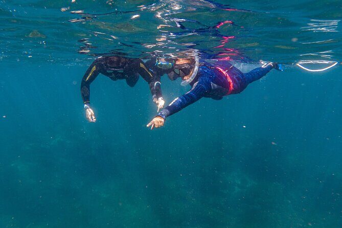 Private Guided Snorkeling in Cabo San Lucas - What You’re Actually Booking in Cabo