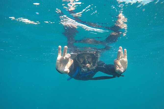 Private Guided Snorkeling in Cabo San Lucas - What the “VIP” Service Feels Like in Real Life