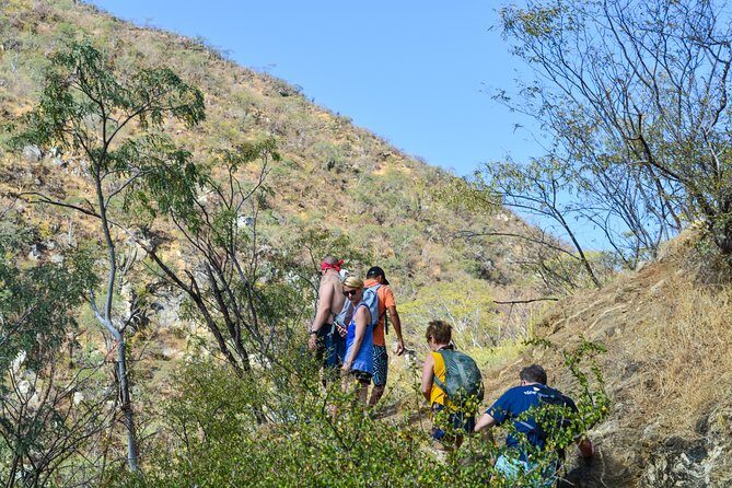 Private Hiking at the Fox Canyon from Cabo San Lucas - Lunch in Miraflores: tacos, guacamole, and a vegan option that actually fits the day