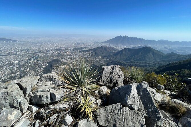 Private Hiking to La M in Chipinque Ecological Park - The Climb: From Pleasant Forest Steps to the Chorreadero Push