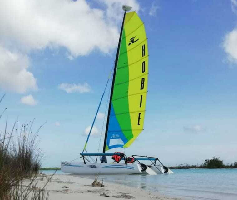 Private Hobie Cat Sailing Tour - Birds Island: watching wildlife without feeling rushed