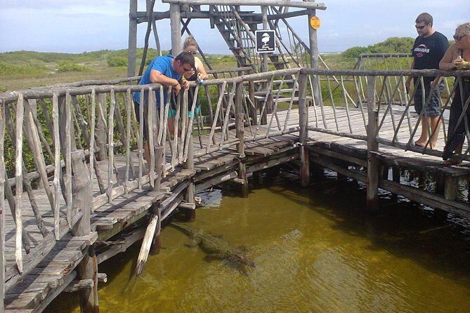 Private Jeep Excursion in Cozumel with Lunch and Snorkeling - Port Pickup Reality: Meeting Points and How to Avoid Wasting Excursion Time