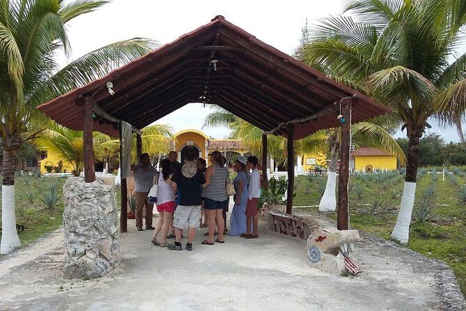Private Jeep Excursion in Cozumel with Lunch and Snorkeling - Snorkeling Smarts: What to Bring and How to Make Your Reef Time Go Smooth