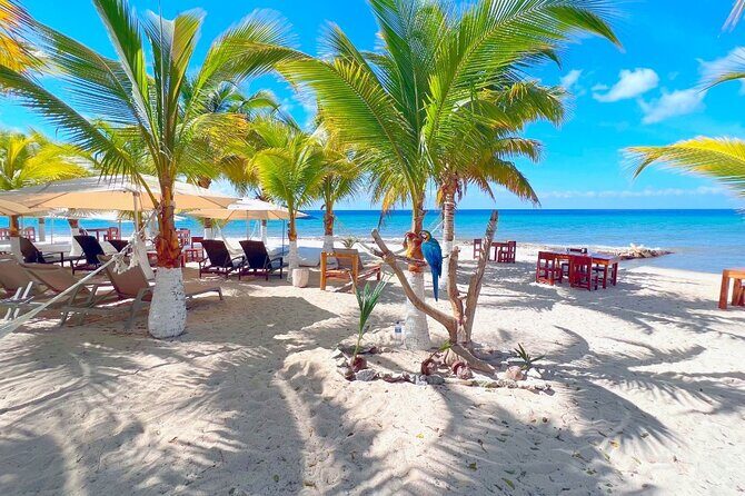 Private Jeep or Buggy Tour Snorkeling Maya Park and Tacos - Stop 3: Playa Publica San Martin lunch by the sea on the other side of Cozumel