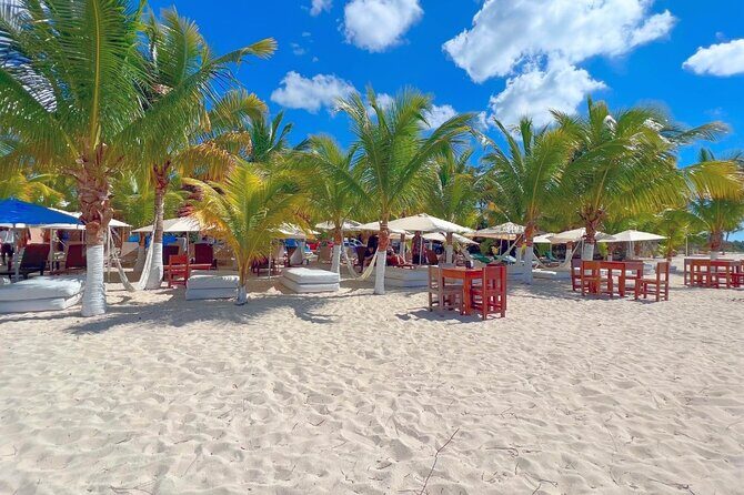 Private Jeep or Buggy Tour Snorkeling Maya Park and Tacos - Tips to get the most from snorkeling, tastings, and beach time