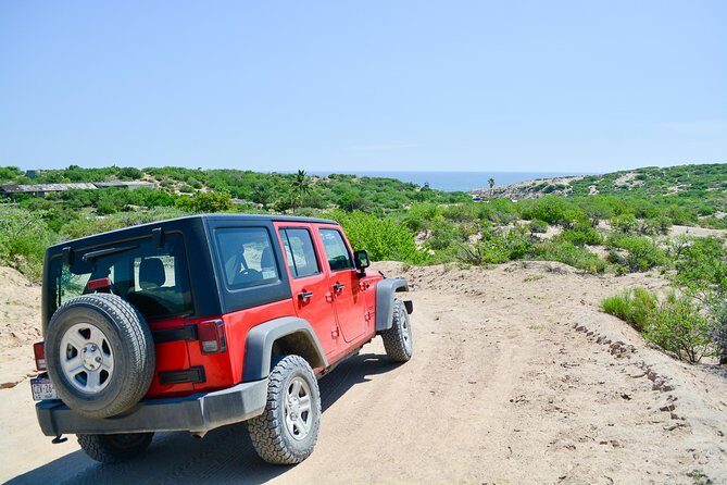 Private Jeep Tour Cabo Pulmo - Lunch in Miraflores at Los Agaves: simple Mexican food, built for fuel