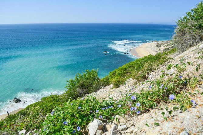 Private Jeep Tour Cabo Pulmo - The Transpeninsular Highway return: heading back without feeling rushed