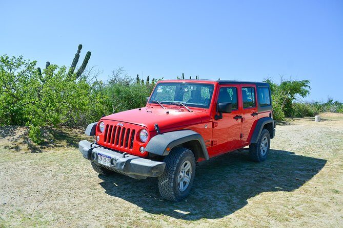 Private Jeep Tour Cabo Pulmo - Guides make or break the day: what to look for on this tour
