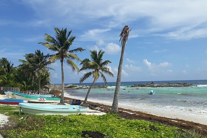 Private Jeep Tour in Cozumel - Price and value: why private can make sense here