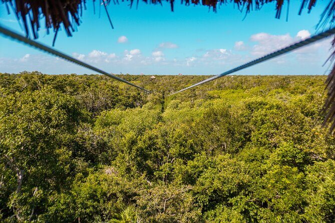 Private Jungle Adventure tour: Zipline + Rappel + Cenote - What’s included: snacks, water, and the “small comforts” that add up
