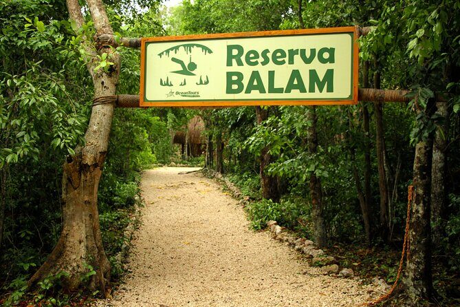 Private Jungle Adventure tour: Zipline + Rappel + Cenote - Price and value: what $295 buys you in Cancun terms