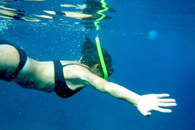 Private Los Arcos Snorkel and Beach Tour from Puerto Vallarta - The Private Los Arcos and Las Ánimas Vibe: Why It’s Worth Your Time