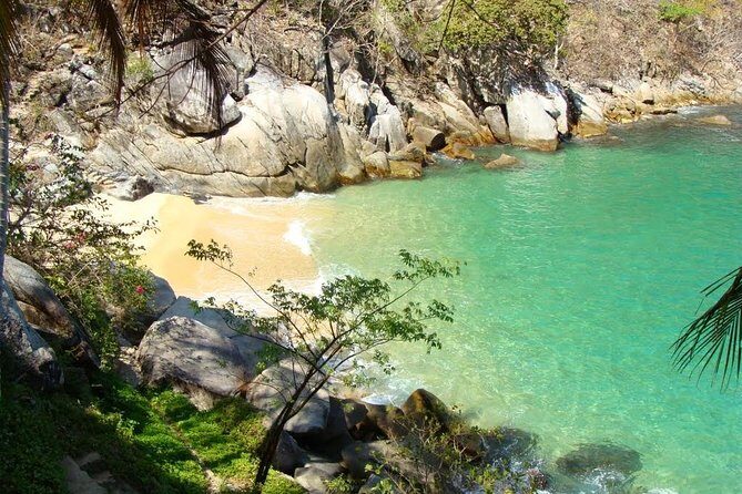 Private Los Arcos Snorkel and Beach Tour from Puerto Vallarta - Price and Value: What $168 Per Person Really Buys