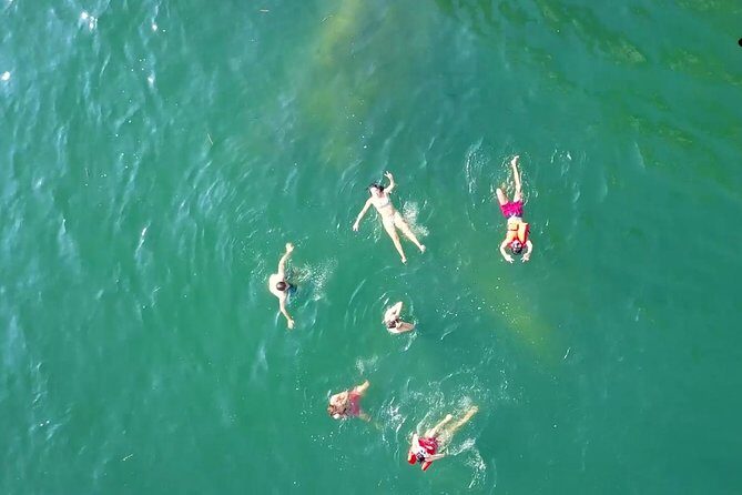 Private Los Arcos Snorkel and Beach Tour from Puerto Vallarta - The Las Ánimas Beach Break (Plus Lunch at the Water)