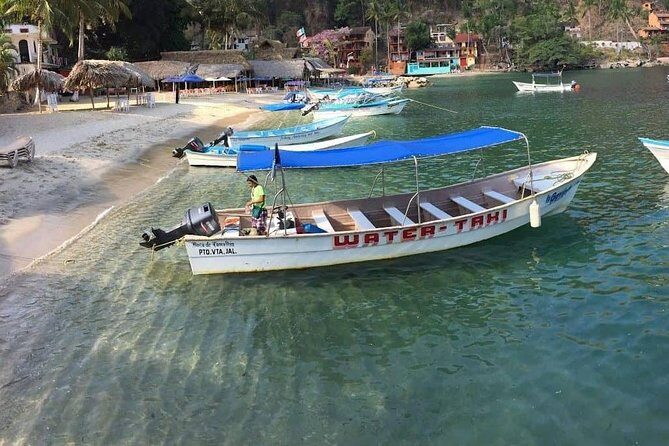 Private Los Arcos Snorkel and Beach Tour from Puerto Vallarta - Who Should Book This Tour (and Who Might Not Love It)