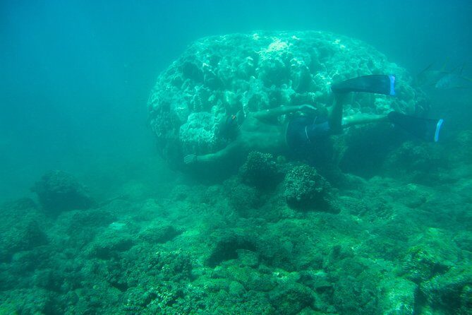Private Los Cabos snorkeling tour to Chileno bay and Santa Maria cove - What’s Included (And Why It Actually Helps)