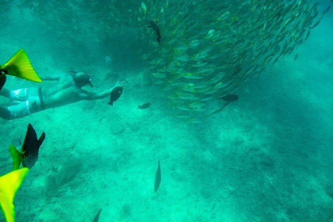 Private Los Cabos snorkeling tour to Chileno bay and Santa Maria cove - Getting There: Plaza Gali Meeting Point and Pickup Options