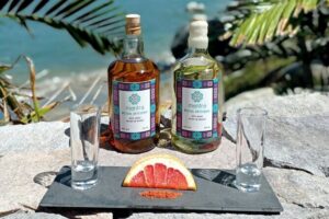 Private Lucha Libre : Mezcal tasting, Taco Tour or Mexican candy - Tequila starter vs mezcal: why that comparison is smart
