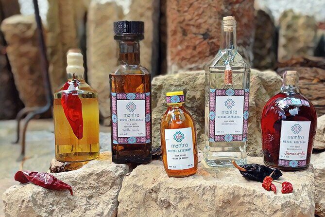 Private Lucha Libre : Mezcal tasting, Taco Tour or Mexican candy - Getting in and out from Roma: pickup, timing, and comfort