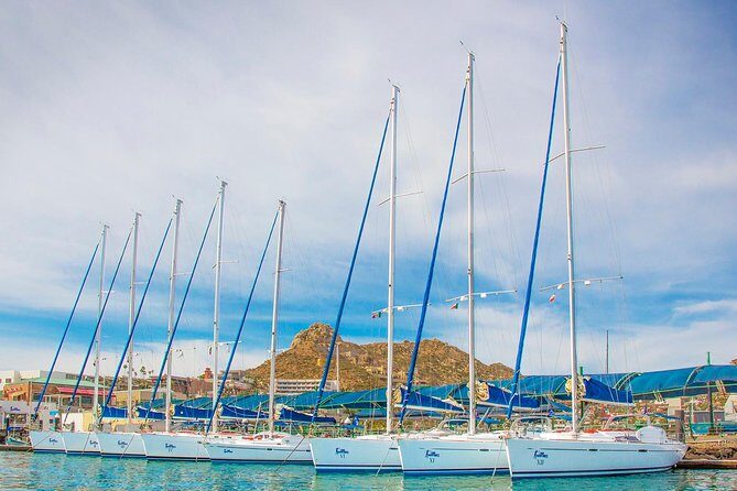 Private Luxury Sailing Cruise in Los Cabos with Lunch and Open Bar - Who should book this cruise (and who might not love it)