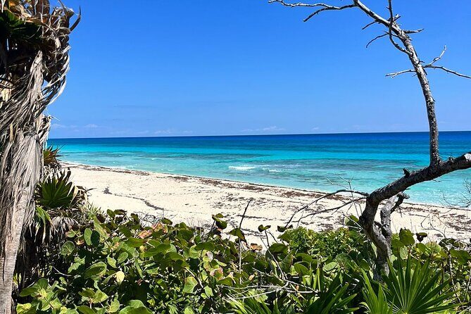 Private Mayan Ruins Tour with Cenote/caves and Mexican Picnic - Stop 4: Cozumel jungle roads, wildlife moments, and El Cedral history
