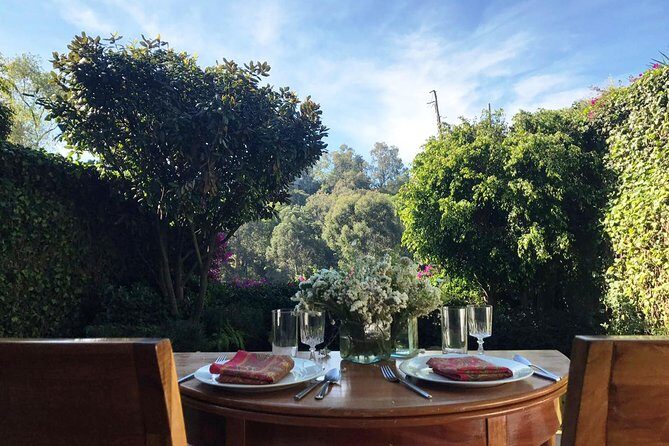 Private Mexican Cooking Class with Gastronomic Historian, Lucia - The patio lunch: eating like you belong there
