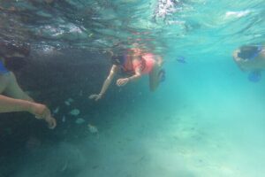 Private MUSA Snorkeling Experience at Isla Mujeres and Cancun - Cancun Hotel Pickup and the Señor Frog’s Start Point