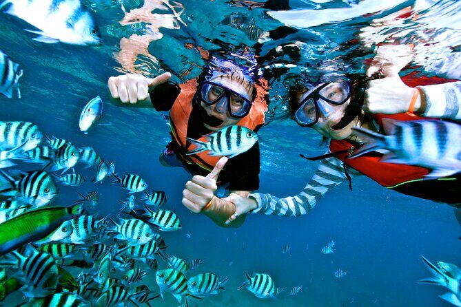 Private MUSA Snorkeling Experience at Isla Mujeres and Cancun - Onboard Comfort: Boat Shade, Gear, and the Crew’s Touch