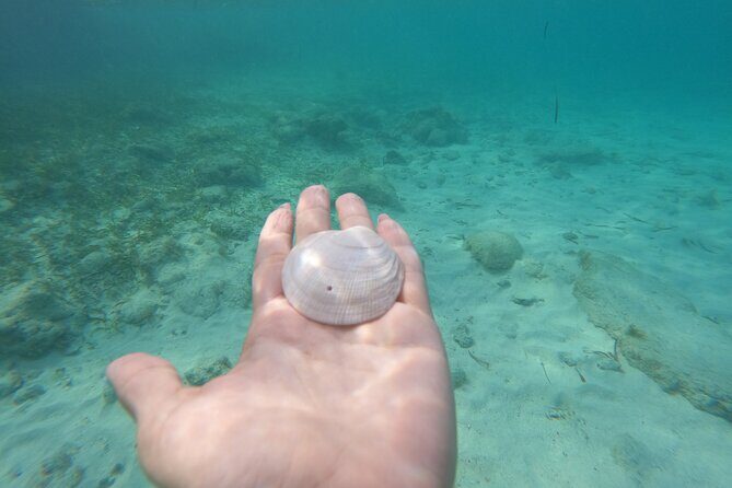 Private MUSA Snorkeling Experience at Isla Mujeres and Cancun - GoPro Photos: What You Get and What You’ll Pay For