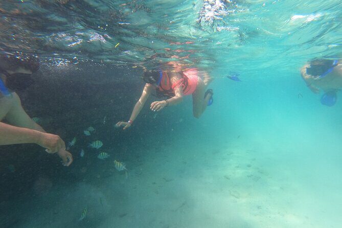 Private MUSA Snorkeling Experience at Isla Mujeres and Cancun - Cancun Hotel Pickup and the Señor Frog’s Start Point