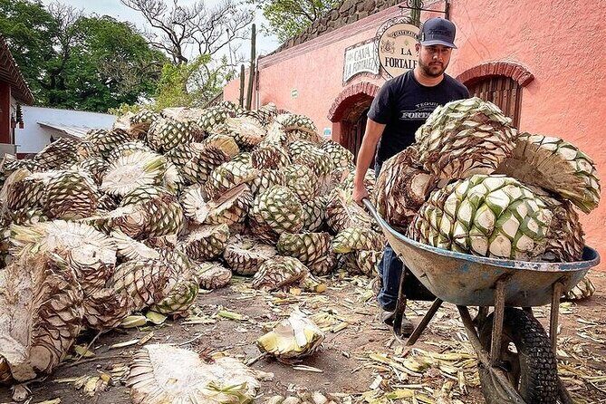 Private One Day Adventure Tour in Tequila and La Fortaleza Distillery - How the private day actually runs from Guadalajara