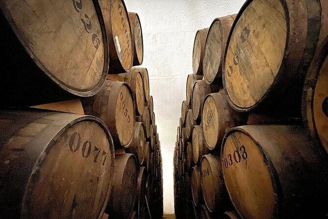 Private One Day Adventure Tour in Tequila and La Fortaleza Distillery - Guides, language, and what private really changes