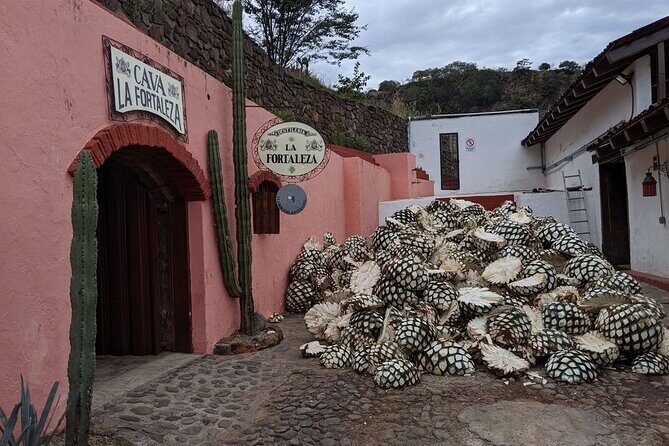 Private One Day Adventure Tour in Tequila and La Fortaleza Distillery - Practical tips so your day doesn’t get bumpy