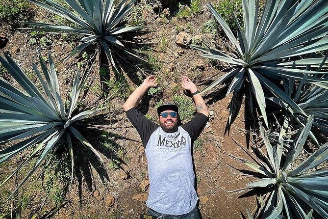 Private One Day Adventure Tour in Tequila and La Fortaleza Distillery - Stop 2: Tequila Fortaleza with the Vive Abuelo / Viva Bisabuelo choice