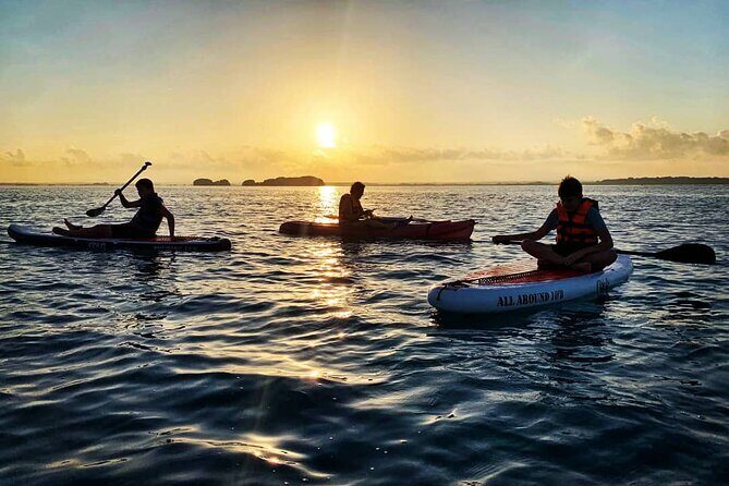 Private Paddle Tour at Sunrise - Sunrise Toward the Island of the Birds