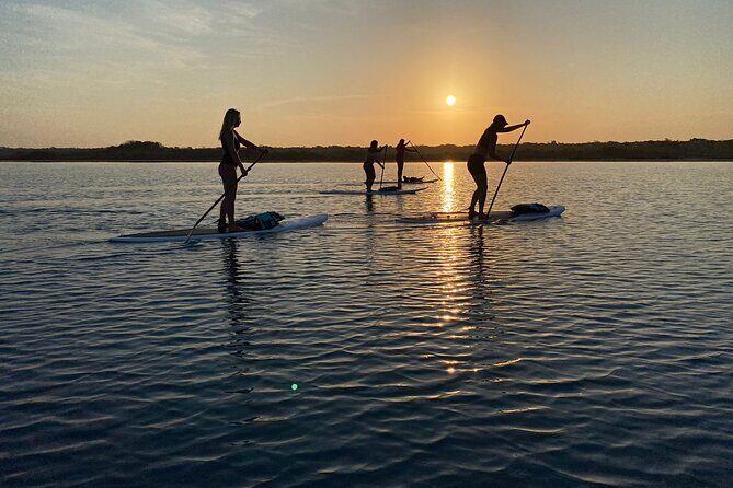 Private Paddleboard Experience in Bacalar - Stop-by-stop: Bird Island, Black Cenote, and Emerald Cenote