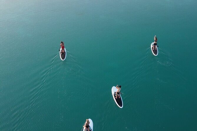 Private Paddleboard Experience in Bacalar - Who this private Bacalar paddleboard tour is best for