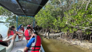 Private Ría Lagartos Boat Tour: Flamingos & Crocodiles - Starting from Yuum Ha Boutique Hotel and getting oriented fast