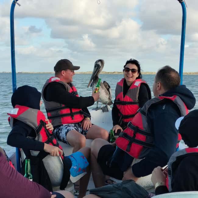 Private Ría Lagartos Boat Tour: Flamingos & Crocodiles - The boat portion: mangroves, wetlands, and animal spotting