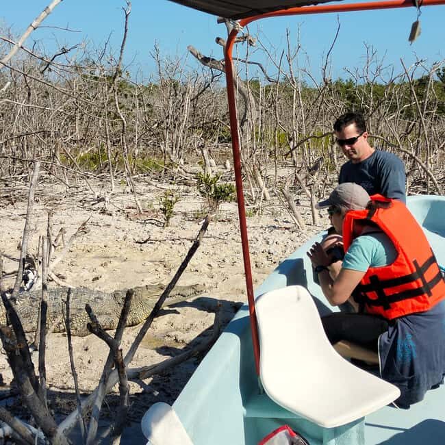 Private Ría Lagartos Boat Tour: Flamingos & Crocodiles - Mayan mud bath with white clay: what it is and how to use it