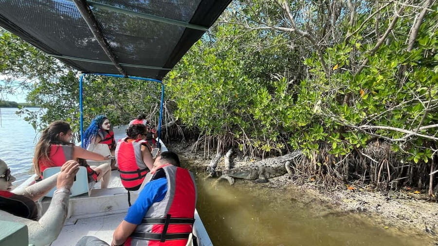 Private Ría Lagartos Boat Tour: Flamingos & Crocodiles - Starting from Yuum Ha Boutique Hotel and getting oriented fast