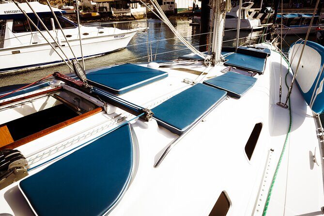Private Sailboat tour in Cabo San Lucas with Papillon Yachts - Snorkeling and Paddleboarding: Included Gear Means You Actually Use It