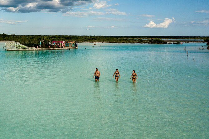 Private Sailing Adventure in Bacalar - Cenote Negro: seeing roots and water as one system