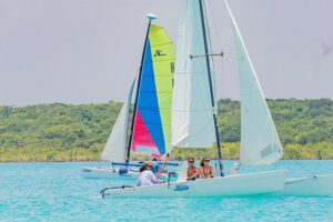Private Sailing between Mangroves - Stromatolites and clear water: what to look for during the stop
