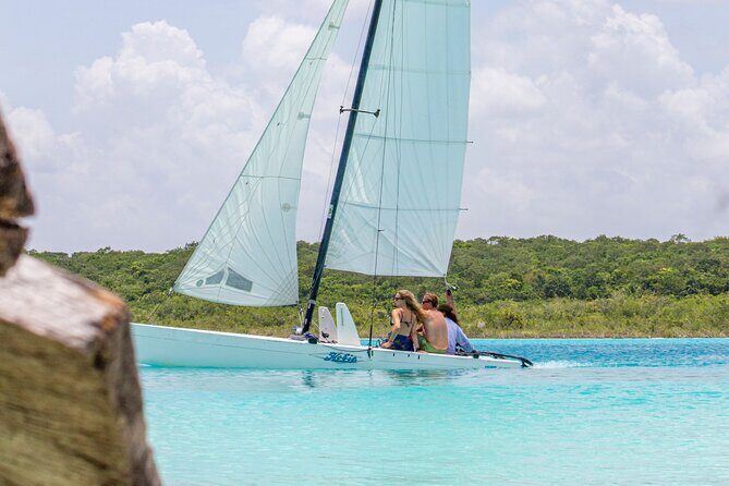 Private Sailing between Mangroves - Mangroves, wetlands, and that quiet feeling you came for