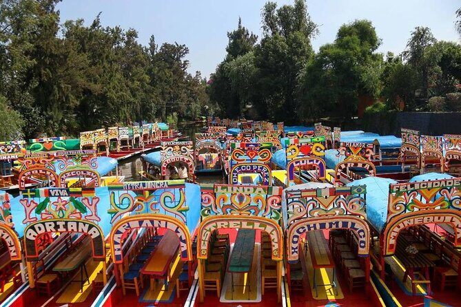 Private/Shared Tour Xochimilco Coyoacán optional Frida Kahlo - Key things to know before you go